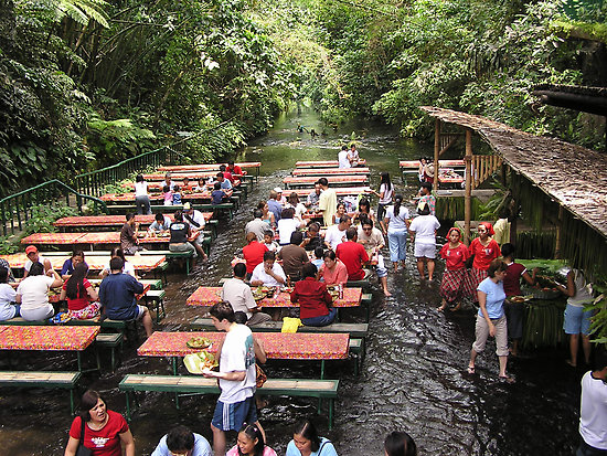 Waterfalls Restaurant Villa Escudero San Pablo City 7